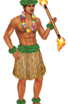 hawaiian_polynesian_dancer